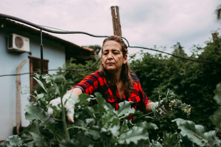 A woman carefully tends to plants in an outdoor garden, showcasing agricultural activity.