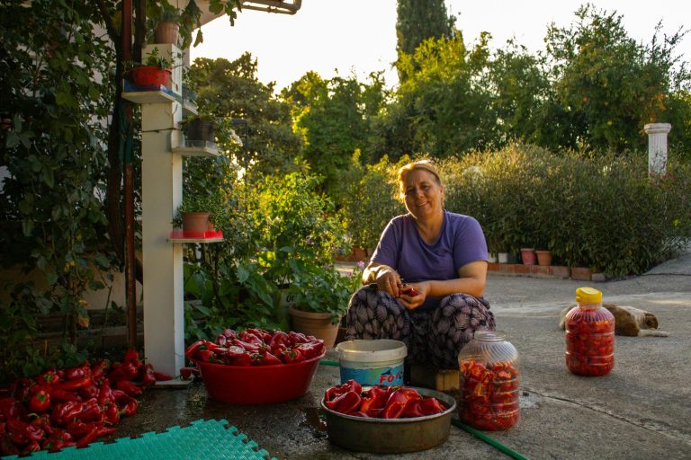 Adult woman in a garden preparing red peppers for preserving, surrounded by nature.